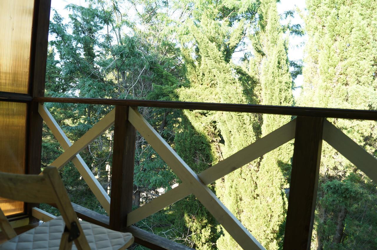 Pitsunda Hotel エクステリア 写真