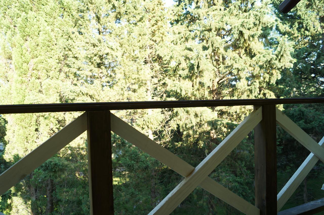 Pitsunda Hotel エクステリア 写真